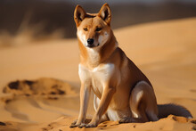 Dingo - Australia - A Domesticated Dog Breed That Has Become Wild, Known For Its Distinctive Yellow Coat And Hunting Behavior. They Are Considered A Pest By Some And Are Threatened (Generative AI)