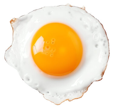 Wall Mural -  - fried egg isolated on transparent background