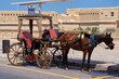 Horse-drawn carriage waiting for tourists - Valletta, Malta