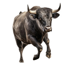 A Bull Black Cow, Running, Frontal View With Ranch-themed, Photorealistic Illustrations In PNG. Generative AI