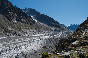 Wall Mural - Summer nature landscape with Argentiere Glacier, Chamonix area, Haute Savoie, France