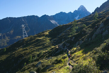 Canvas Print - On the trail to Argentiere Glacier, Chamonix area, Haute Savoie, France. 