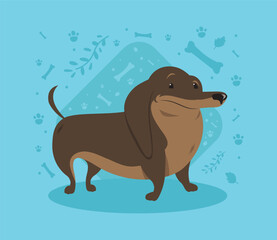 Poster - dachshund dog mascot