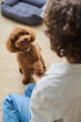© AnnaStills - Vertical image of owner training her little dog in the room at home
