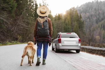 Canvas Print - Woman and adorable dog walking along road, back view. Traveling with pet