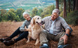 © Nina/peopleimages.com - Dog petting, hiking and a couple in nature for travel, relaxation and break on a mountain. Happy, relax and an elderly man and woman with an animal on a walk in the mountains and resting together