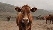 red heifer with natural high land landscape, Generative Ai