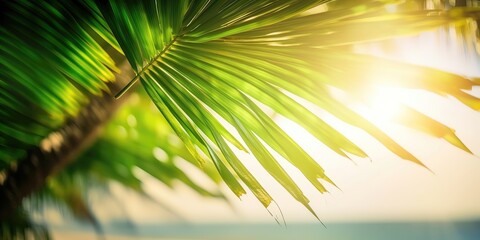 Aufkleber - Summer picture of the sun's rays breaking through the leaves of a palm tree.Colorful summer template. Concept of recreation. Generative AI