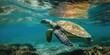 Meeresschildkröte schwimmt Unterwasser im Meer - Generative AI