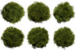 trees from above, set of lush plants isolated on transparent background 