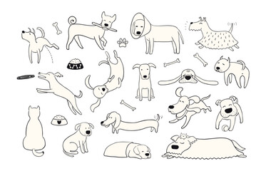 Wall Mural - Cute funny dogs, puppies clipart collection, isolated. Hand drawn monochrome vector illustration. Line drawing. Domestic animals set. Design concept pet food, branding, business, vet, print, poster