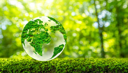 Wall Mural - Concept Save the world save environment The world is in the grass of the green bokeh background