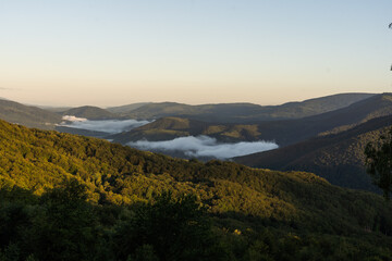 Wall Mural - Mountains in clouds at sunrise in summer. mountain with green trees in fog. Beautiful landscape with high rocks, forest, sky. mountain in clouds