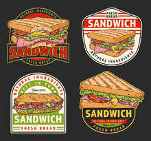 Sandwich Menu Set Colorful Flyers