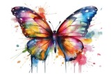 Fototapeta Motyle - butterfly on white background