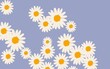 Seamless pattern with daisy flower and little hearts on blue background. White heart and daisy icons 