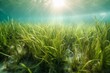 The role of seagrass in the ocean ecosystem, bokeh Generative AI