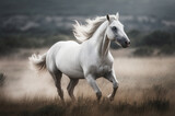 Fototapeta Konie - A serene, ethereal image of a majestic white horse galloping freely across an open field, with its mane and tail flowing in the wind.