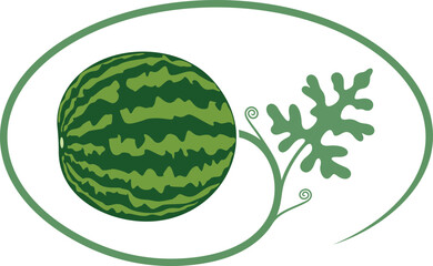 Sticker - Watermelon plant. Isolated watermelon on white background