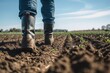 Low angle shot of a man wearing rubber boots in a farmer's field with a blue sky in the distance. Man strolling through a field of crops. Early in the spring, a farmer strolls through a plowed field
