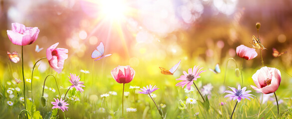 Spring - Sunny Field With Poppies And Daisies Flowers On Grass With Abstract Defocused Landscape