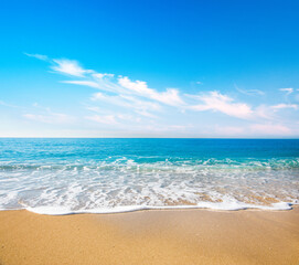 Wall Mural - beautiful tropical sea and sandy beach