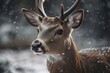 Wintertime deer portrait. Generative AI