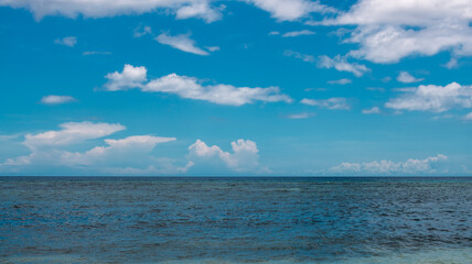 Wall Mural - sea and sky in clouds, sunny day, horizon line, clear sea