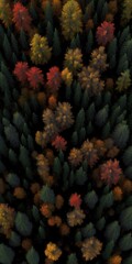 Wall Mural - Autumn woodland texture seen from above Generative AI