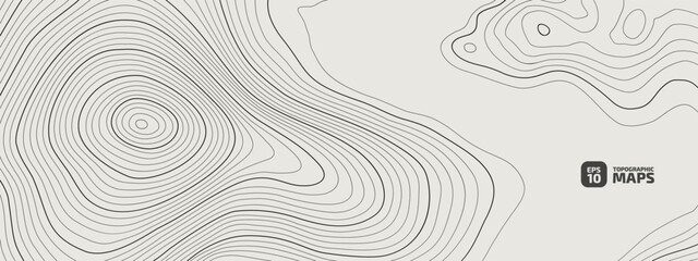 Wall Mural - the stylized height of the topographic contour in lines. the concept of a conditional geography sche