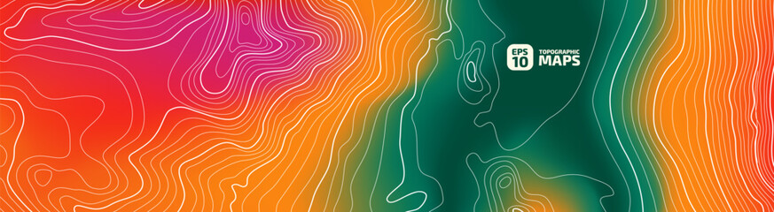 Wall Mural - the stylized height of the topographic contour in lines and stroke. the concept of a conditional geo