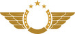 Golden horseshoe with wing and star