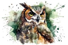 Owl Painted In Watercolor On A Plain White Background. Generative AI