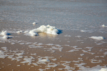 Wall Mural - foam on sand beach front water sea and wind low tide