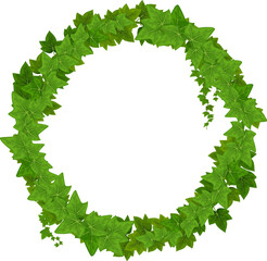 Wall Mural - ivy frame with leaves and lianas, round border