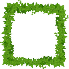 Wall Mural - square ivy frame with leaves and lianas, border