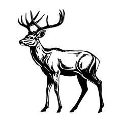 Poster - Deer vector silhouette, deer logo, isolated on white background.