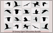 Snowy Egret Vector,snowy Egret Silhouette,
