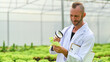© Prathankarnpap - Portrait of Agricultural scientists with magnifying glass examining plants for disease in industrial greenhouse