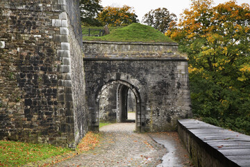 Wall Mural - Citadel of Namur. Wallonia. Belgium