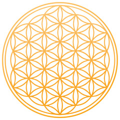 Wall Mural - flower of life spiritual symbol orange chakra