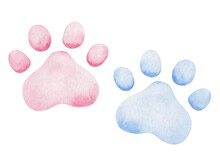 Watercolor Illustration. Hand Painted Pink And Blue Paw Prints Of Kitten, Puppy. Footprint Of Dog, Cat. Canine, Feline Paws. Boy And Girl. World Animal Day. Isolated Clip Art For Posters, Banners