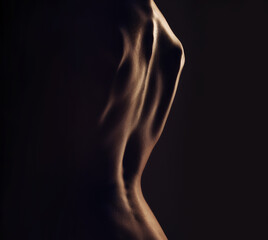 nude, back and silhouette, sexy woman with body closeup, dark aesthetic and art, skin and sensual on