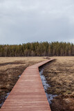 Fototapeta Dziecięca - Wooden decking road into the forest through the swamp in autumn or spring