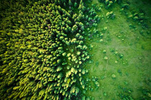 Drone Photography Of Green Coniferous Alpine Trees With Deforested Area. Beautiful Landscape Of Mountain Forest And Grassy Field After Deforestation.