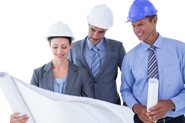 Poster - Businessmen and a woman with hard hats and holding blue