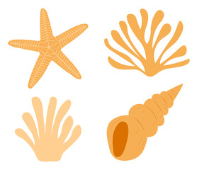 Sea shell starfish coral algae vector illustration