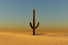 Solitary Cactus On Desert Dunes. 3d Illustration