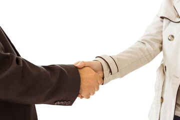 ale and female corporate people shaking hands