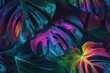 © ADDICTIVE STOCK - Generative AI illustration of neon Monstera deliciosa leaves growing in tropical forest for creative design elements